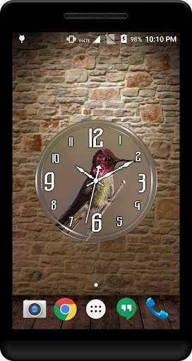 Hummingbird Clock Live WP screenshot 4