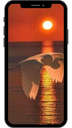 Sunset Wallpaper for Android 4K HD screenshot 1