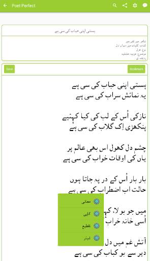 Poet Perfect Free Urdu Poetry screenshot 12