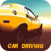 Car Driving 2.6