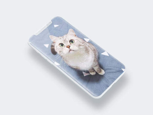 Cute Cat Wallpaper screenshot 3
