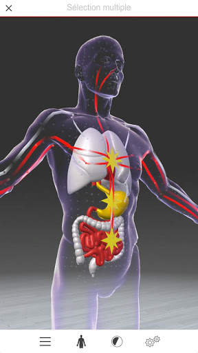 Acupuncture 3D screenshot 1
