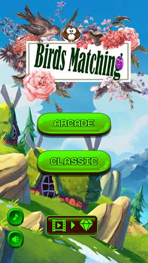 Matching Birds Mania: Jewel Sort Puzzle स्क्रीनशॉट 2