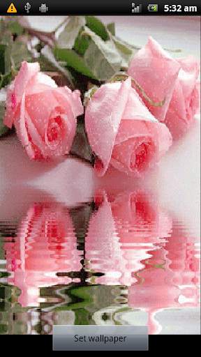 Rose Live Wallpaper screenshot 1