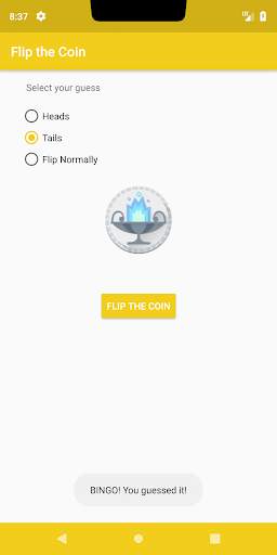 Flip the Coin - Miniapp Canada скриншот 3