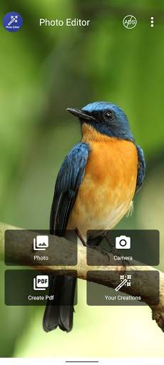 Photo Editor screenshot 1