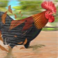 Wild Rooster Animal Run Race- Chicken Farm Racing logo