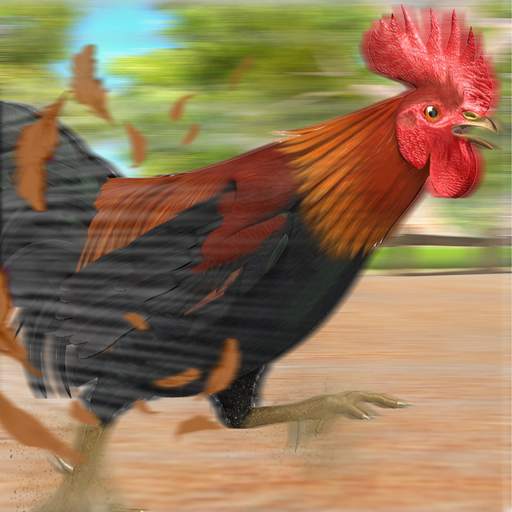 Wild Rooster Animal Run Race- Chicken Farm Racing 1.0.1
