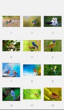 Live Birds Wallpapers(offline) screenshot 2