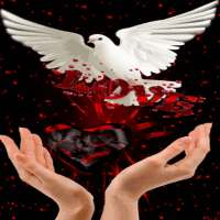 Red Black Heart LWP on 9Apps