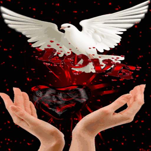 Red Black Heart LWP 3