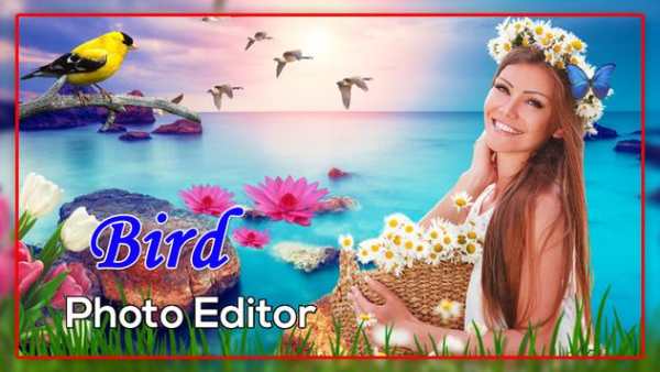 Bird Photo Editor screenshot 3