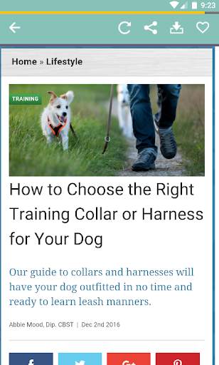 Pet Care: Pet Health News&Tips screenshot 7