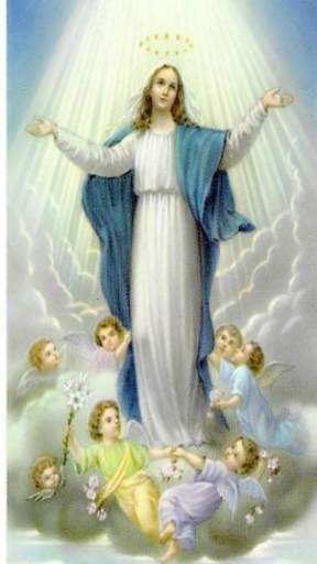 Virgin Mary Wallpaper screenshot 4