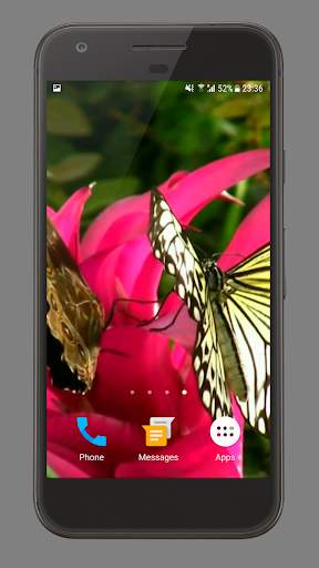 Butterfly And Flower Video LWP screenshot 2