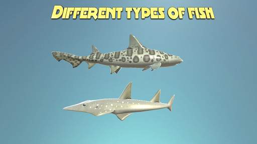 Real Shark Simulator 3D screenshot 3