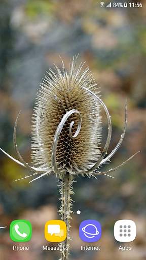 Winter and Autumn Flowers Live Wallpaper screenshot 5