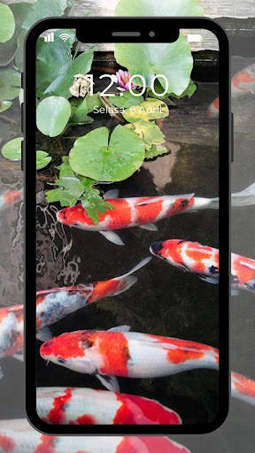 Wallpaper Ikan Koi Hidup screenshot 7