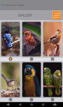 Birds Zipper Lock Screen screenshot 23