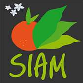 SIAM 2017 icon