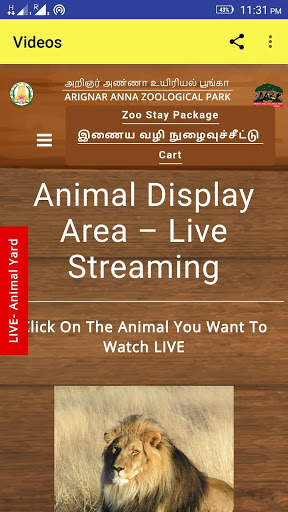 ZOO ANIMALS LIVE VIDEOS screenshot 2