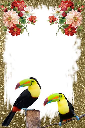 Birds Photo Frames स्क्रीनशॉट 6