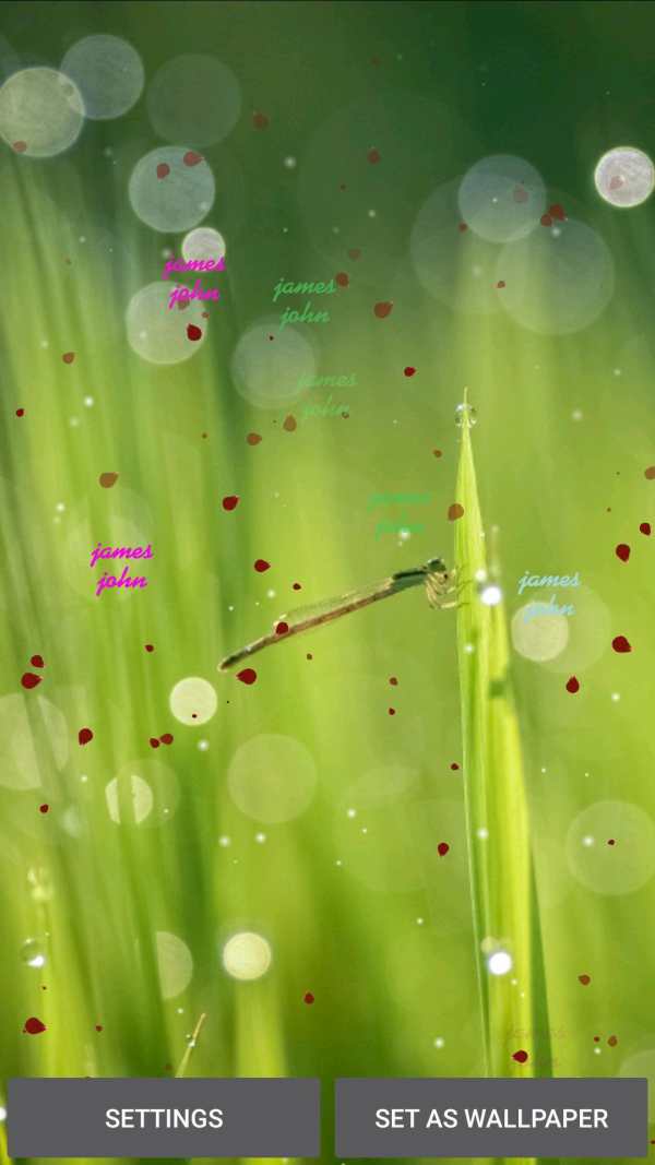 My Name Live Wallpaper screenshot 2