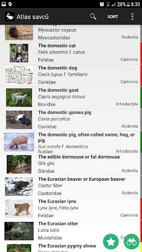 Mammals of Europe Free screenshot 2