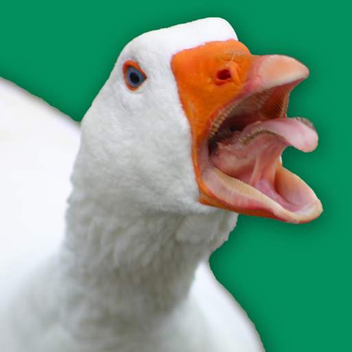 Angry Goose Simulator: Rampage 1.1.0