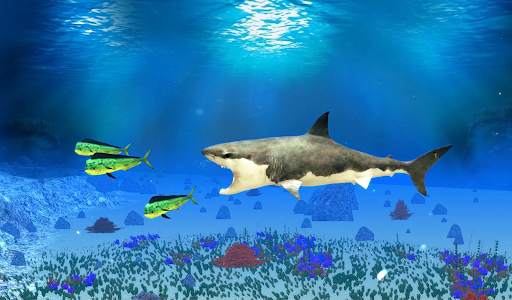 The Shark screenshot 12
