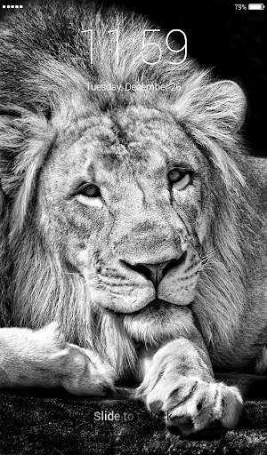 Lion king Lock Screen screenshot 5