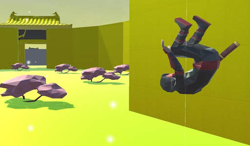 Ninja Maze Run : Ancient Temple Maze Runner ! screenshot 8