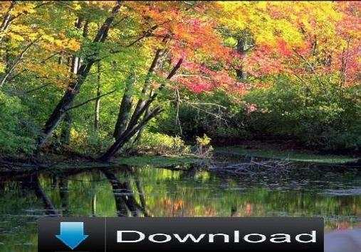 Web Video Download screenshot 2