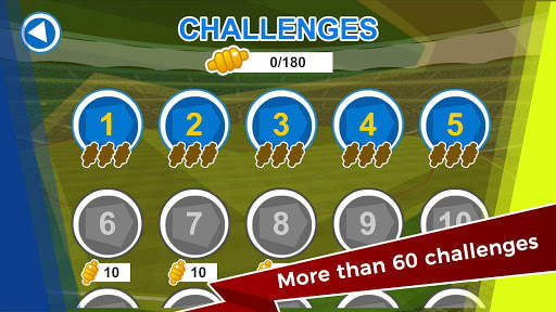 Batsman Cricket Game - Cricket games 2019 screenshot 3