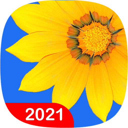 Gallery icon