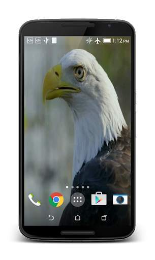 USA Eagle Live Wallpaper screenshot 4