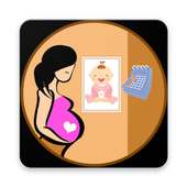 Pregnancy Tracker - Track your Pragnancy on 9Apps