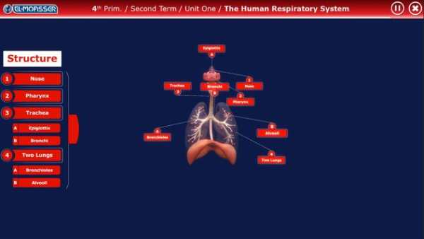El-Moasser Respiratory System 3D screenshot 2