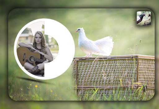 Dove Photo Editor - Dove Photo Frames screenshot 4