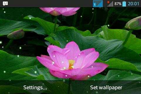Hoa Sen screenshot 6