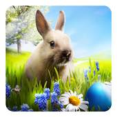 Easter Bunny Live Wallpaper 2.1