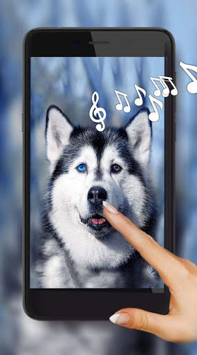 Husky Voice Live Wallpaper screenshot 1