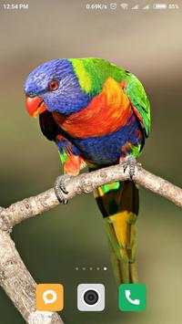 Bird wallpaper screenshot 13