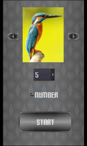 slide puzzle birds screenshot 1