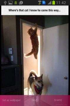 Funny Pics screenshot 2