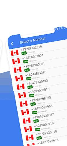 usa number for whatsapp screenshot 4
