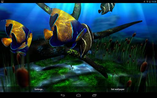 My 3D Fish II screenshot 11