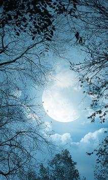 Beautiful Moon Wallpapers screenshot 3