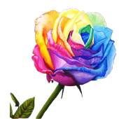 Flower stickers app for whatsapp - Roses 1.0