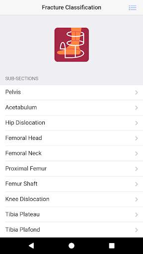 Fracture Classification (FC) screenshot 5